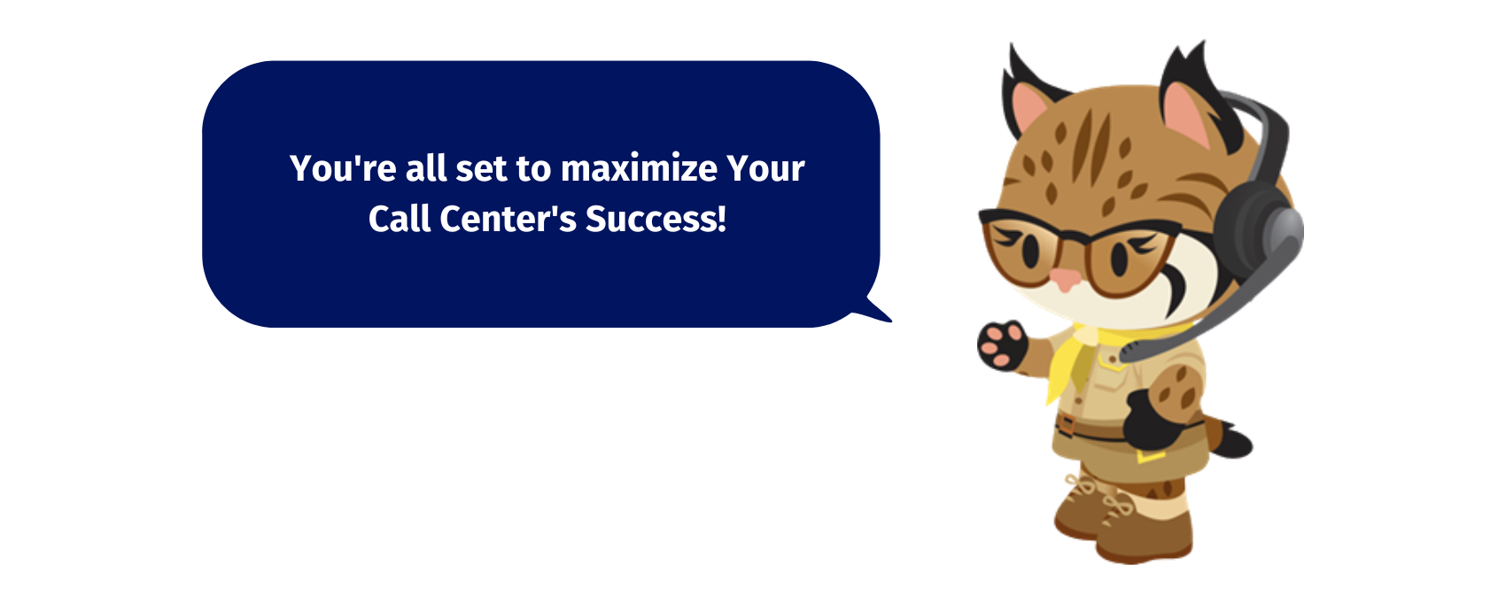 Salesforce cat with headset saying You're all set to maximize your call center success
